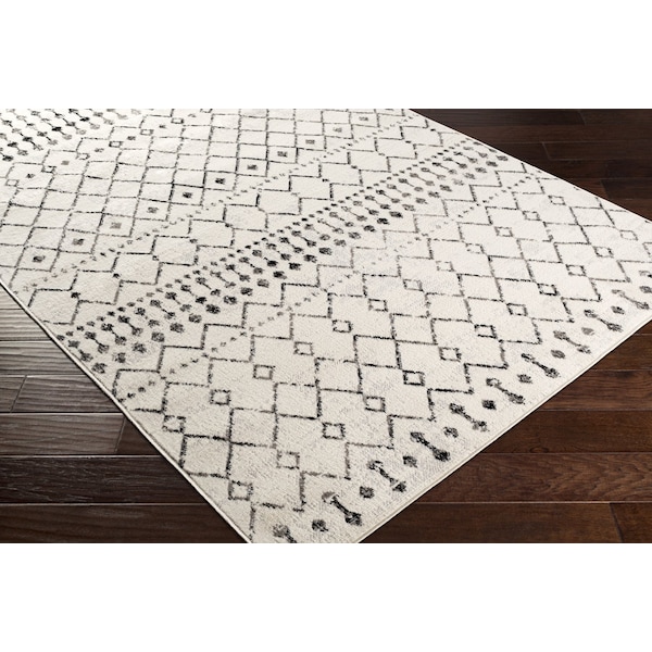 Pisa PSS-2300 Machine Crafted Area Rug